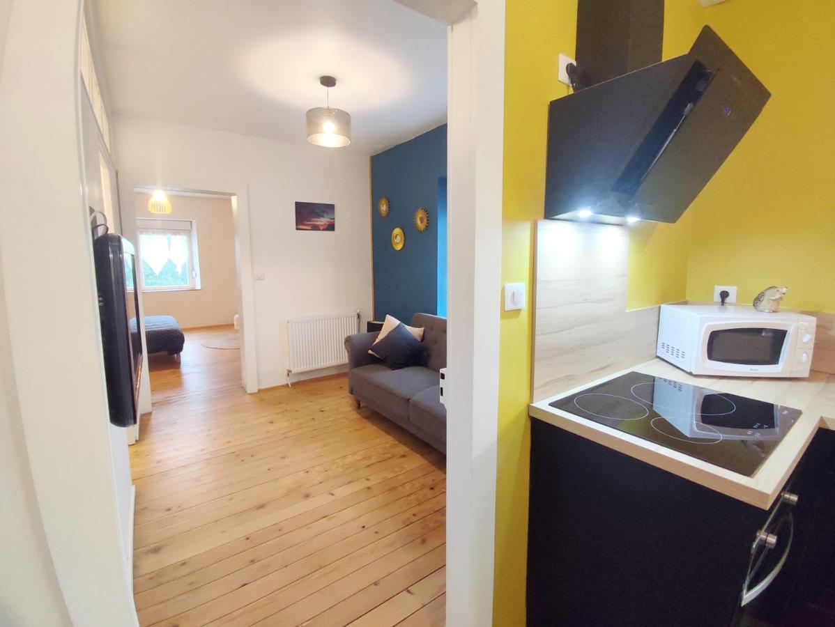 Le Petit Fremis / 5 Kms Des Pistes / Axe Nancy-thann Apartment *