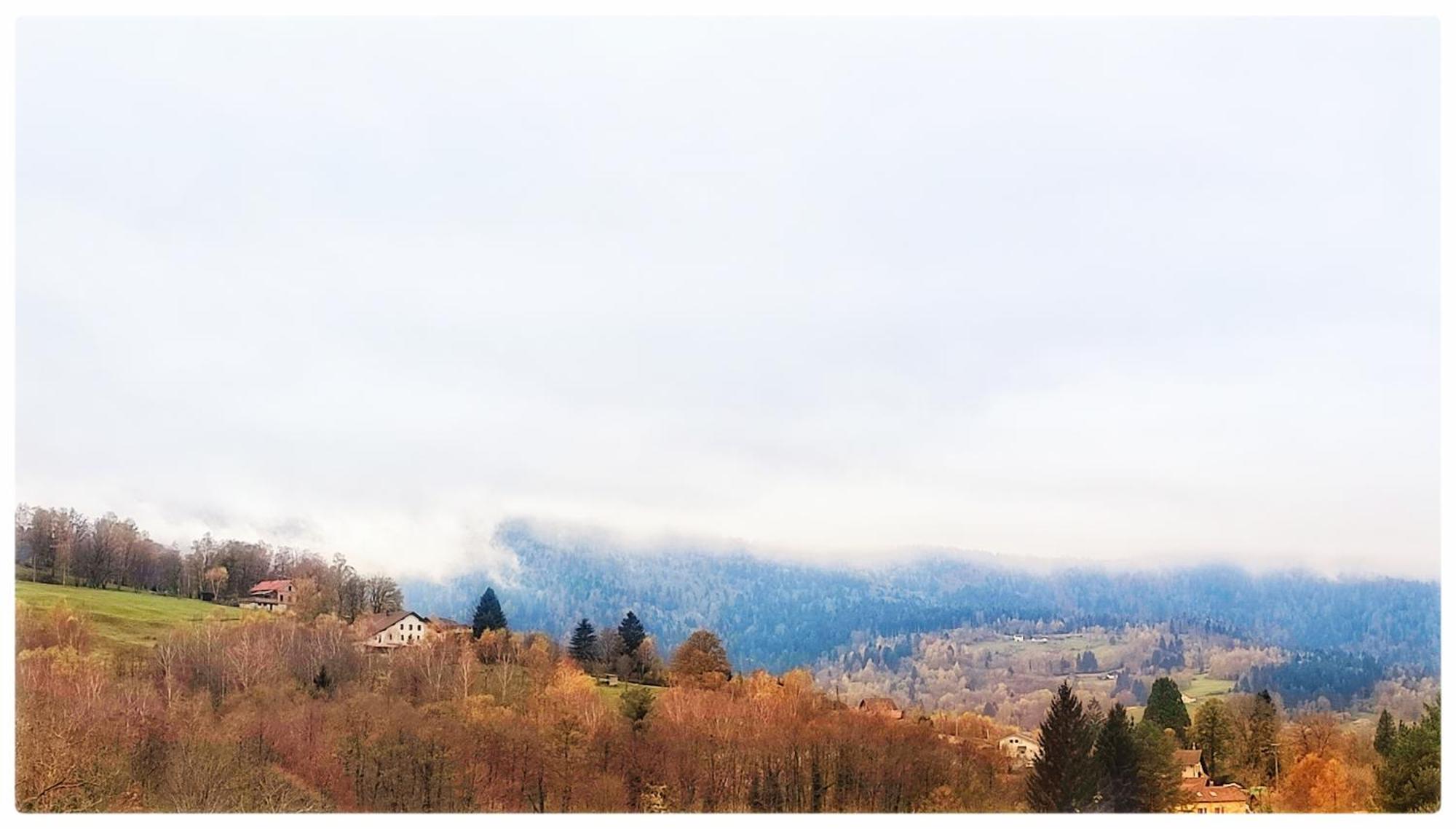 Le Petit Fremis / 5 Kms Des Pistes / Axe Nancy-thann Apartment Saint-Maurice-sur-Moselle